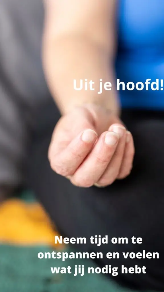 Lees meer over het artikel Workshop 21 juni